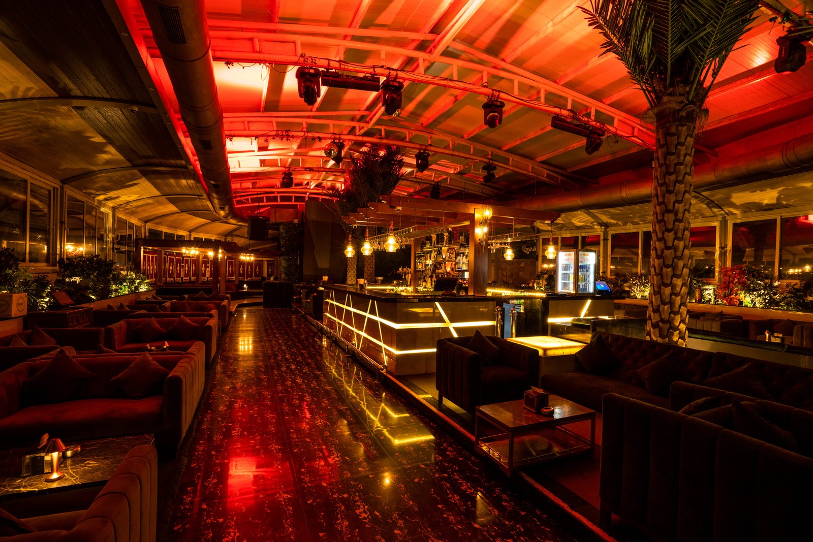 Night Life at OPA
